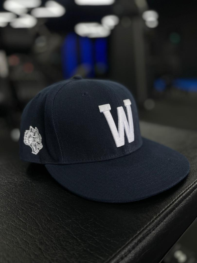 Darc Sport Navy Fitted Cap (131 of 500)