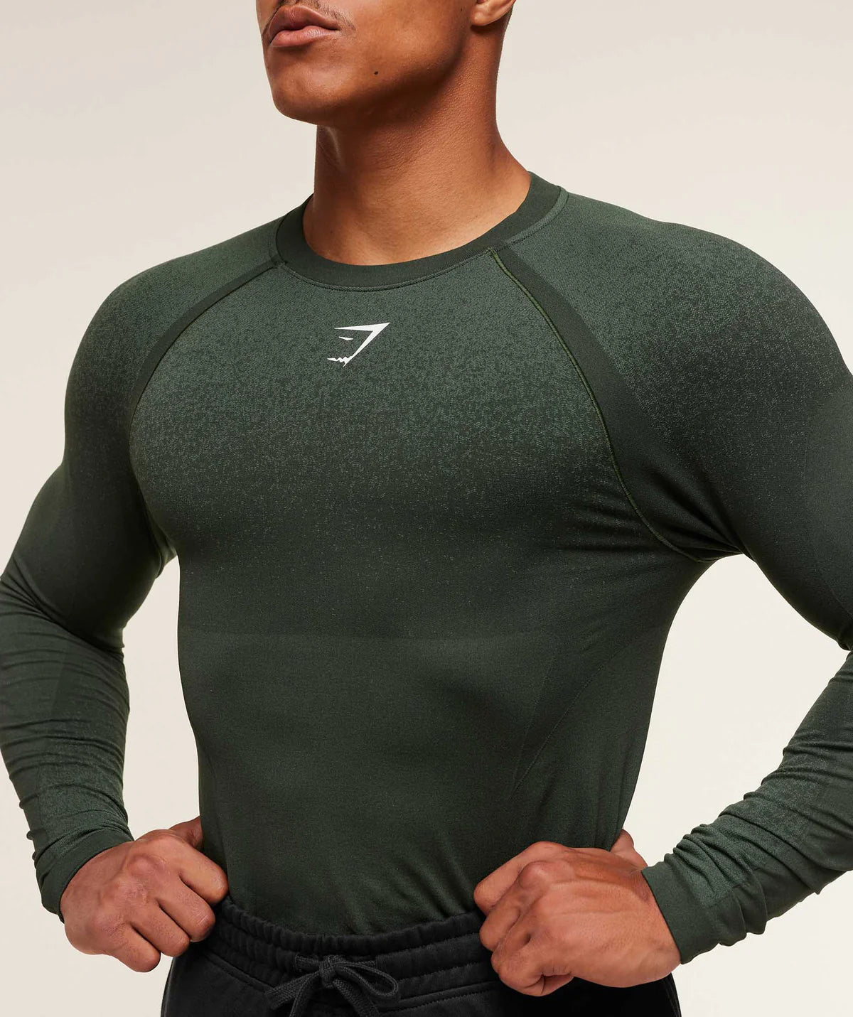 Gymshark - Shadow Seamless Long Sleeve T-Shirt