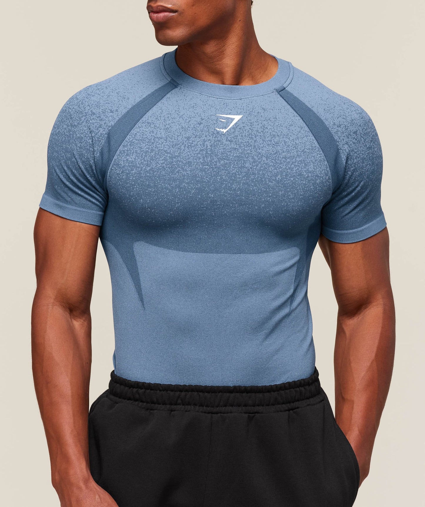 Gymshark Shadow Seamless T Shirt - Fadded blue